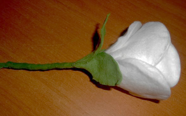 Розы из ватных дисков | Wiki | ☕ DIY Своими Руками ☕ Amino